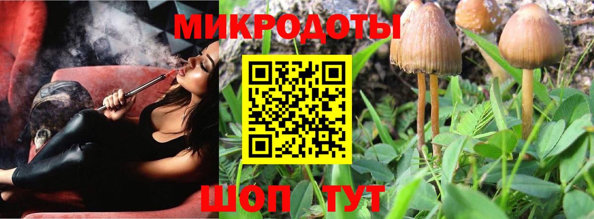 Галлюциногенные грибы GOLDEN TEACHER Хабаровск